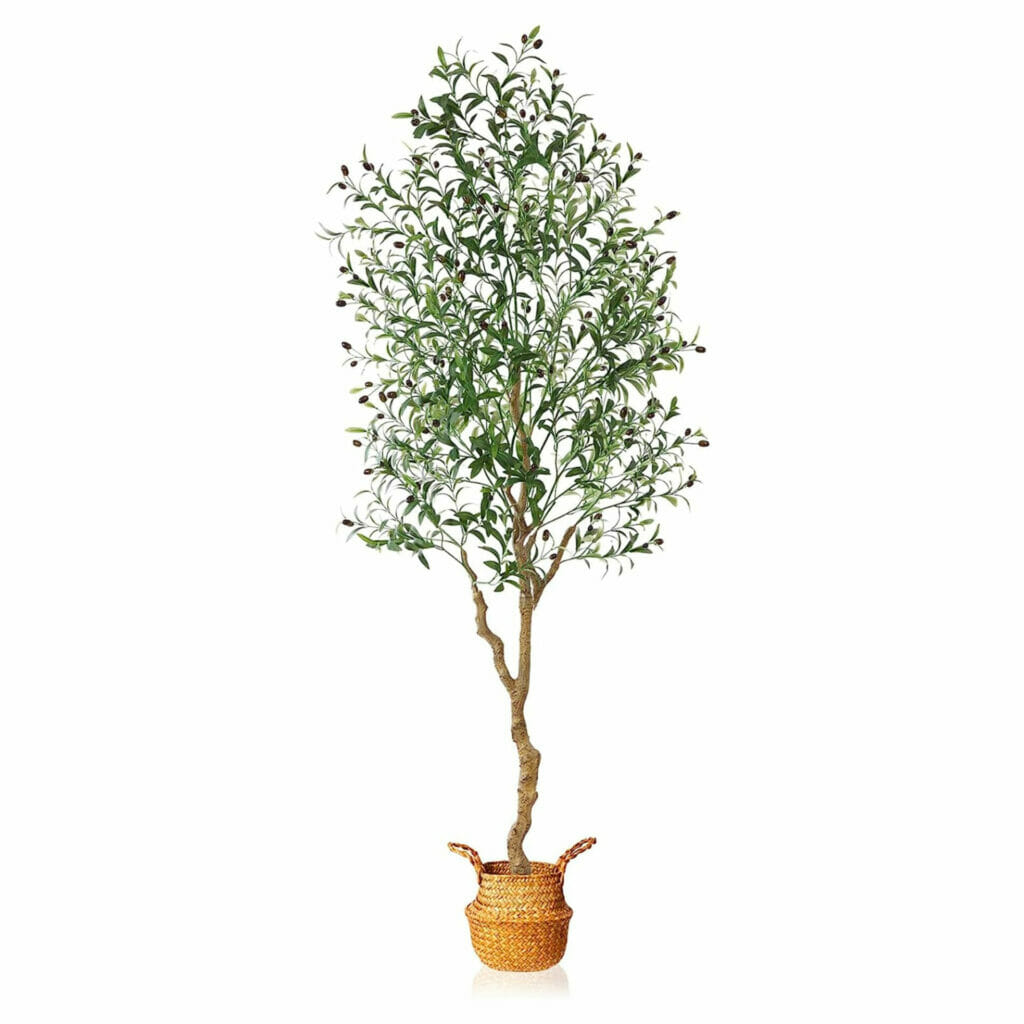 best selling olive tree affordable home decor