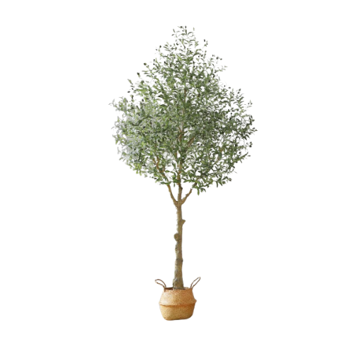 july prime day best sellers | #july #primeday #amazon #bestseller #olivetree #artificaltree #faux #tree